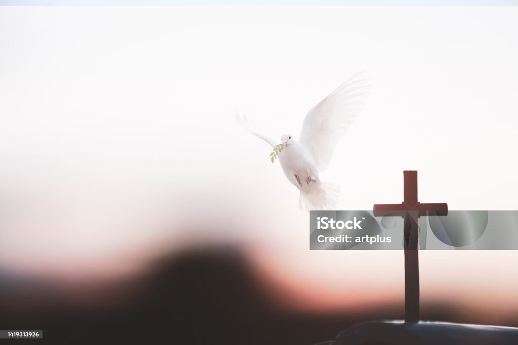 istockphoto-1419313926-1024x1024